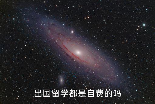 自費(fèi)留學(xué)，自費(fèi)留學(xué)讀本科要多少錢