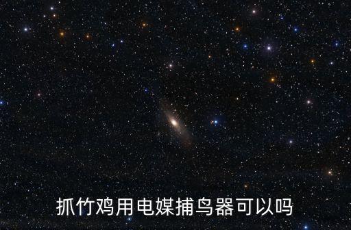 抓竹雞用電媒捕鳥(niǎo)器可以嗎