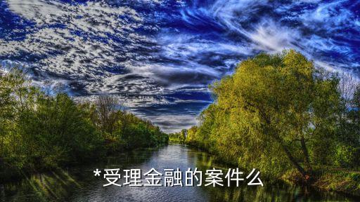 *受理金融的案件么