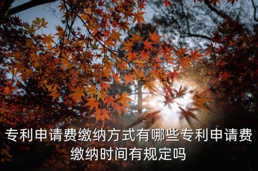 申請費，專利申請需要用錢嗎多少