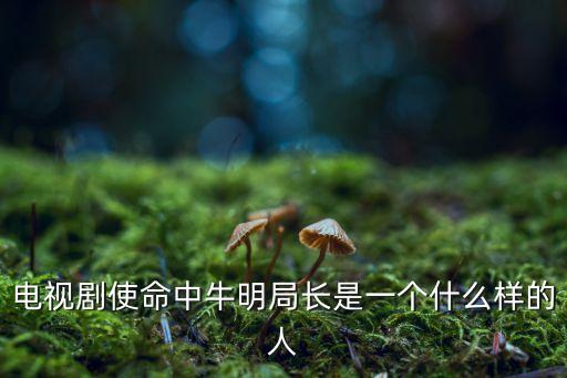 牛明，叫牛明什么好