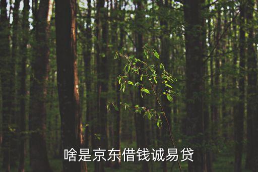 誠(chéng)易貸，誠(chéng)易貸會(huì)不會(huì)*公司