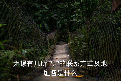 高淳*
