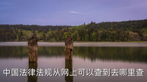 中國(guó)法律法規(guī)從網(wǎng)上可以查到去哪里查