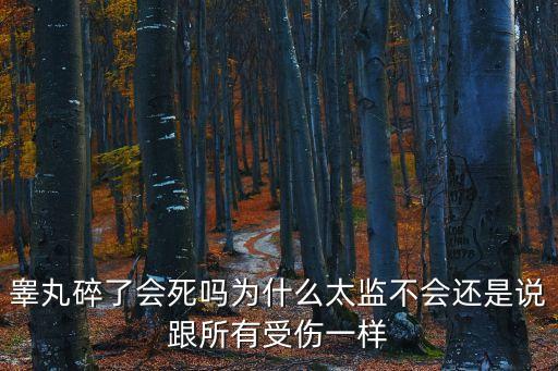 睪丸碎了會死嗎為什么太監(jiān)不會還是說跟所有受傷一樣