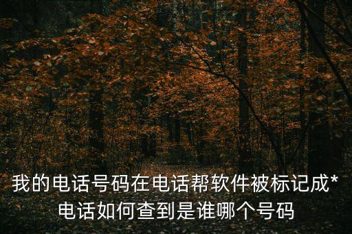 我的電話號(hào)碼在電話幫軟件被標(biāo)記成*電話如何查到是誰(shuí)哪個(gè)號(hào)碼