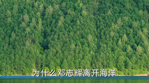 為什么鄧志輝離開海洋