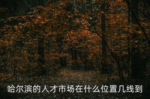 哈爾濱的人才市場在什么位置幾線到