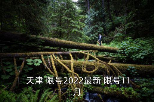  天津 限號2022最新 限號11月