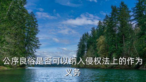 良俗，公序良俗是什么在什么樣的案件審理中會(huì)考慮這個(gè)東西