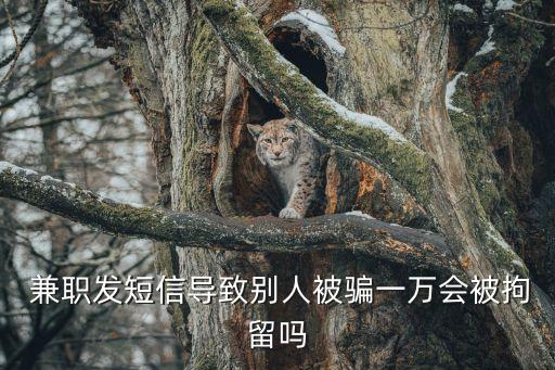 做兼職不小心涉及*如何判,被騙了怎么網(wǎng)上報(bào)案