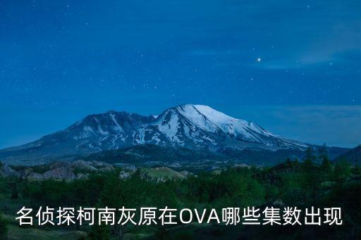 16名嫌疑犯,OVA 2 16名嫌疑犯