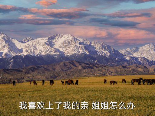 我喜歡上了我的親 姐姐怎么辦