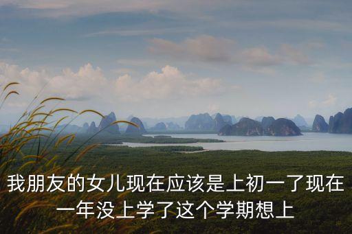 我朋友的女兒現(xiàn)在應(yīng)該是上初一了現(xiàn)在一年沒(méi)上學(xué)了這個(gè)學(xué)期想上