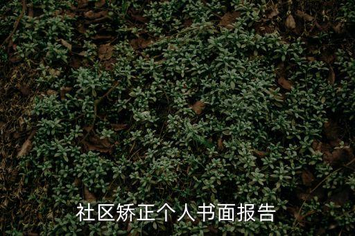 社區(qū)矯正個人書面報告