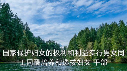 國家保護婦女的權(quán)利和利益實行男女同工同酬培養(yǎng)和選拔婦女 干部