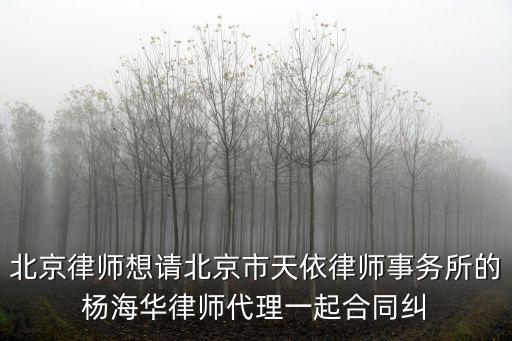 楊海華，楊海華是誰