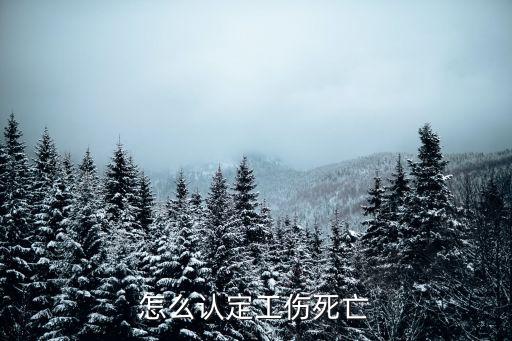 怎么認定工傷死亡