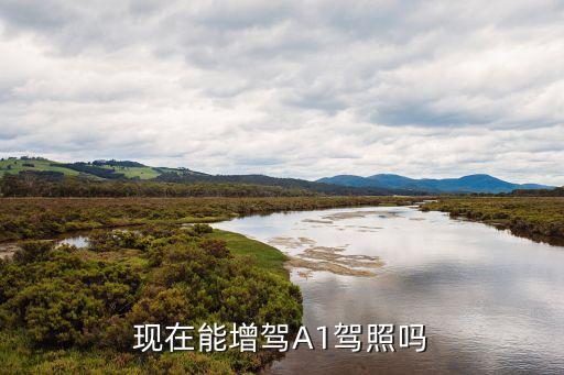 駕駛證a1，A1駕駛證是什么