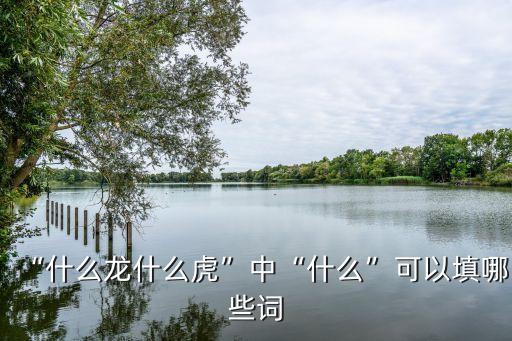 正龍拍虎