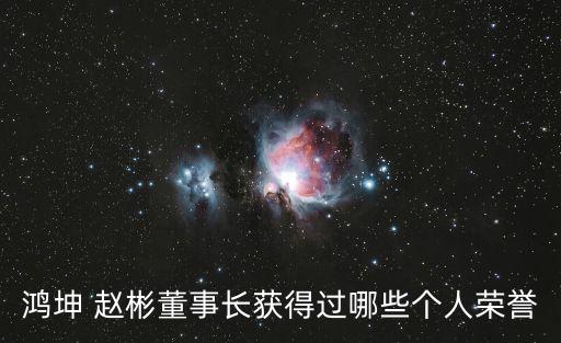 鴻坤 趙彬董事長獲得過哪些個人榮譽