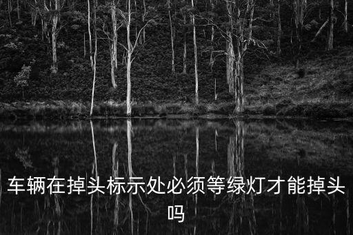 車輛在掉頭標示處必須等綠燈才能掉頭嗎