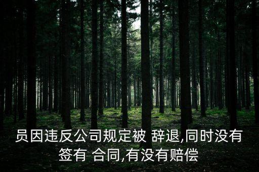 員因違反公司規(guī)定被 辭退,同時沒有簽有 合同,有沒有賠償