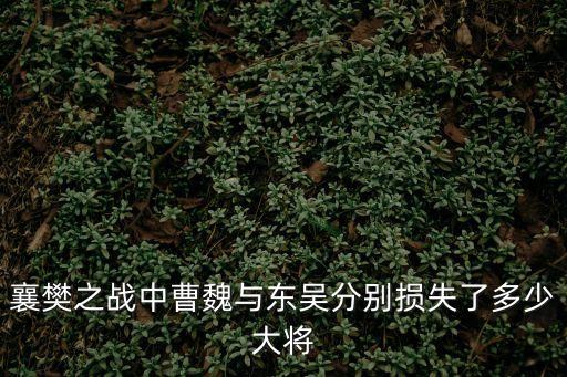 襄樊之戰(zhàn)中曹魏與東吳分別損失了多少大將