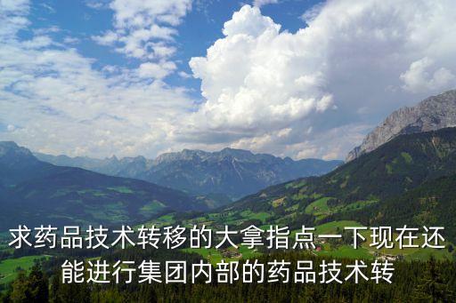 藥品技術(shù)轉(zhuǎn)讓，求藥品技術(shù)轉(zhuǎn)移的大拿指點(diǎn)一下現(xiàn)在還能進(jìn)行集團(tuán)內(nèi)部的藥品技術(shù)轉(zhuǎn)