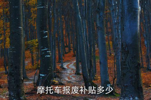 摩托車報(bào)廢補(bǔ)貼多少