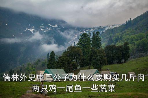 儒林外史中三公子為什么要購買幾斤肉兩只雞一尾魚一些蔬菜