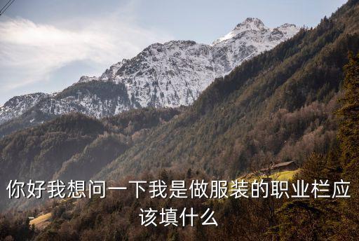 你好我想問一下我是做服裝的職業(yè)欄應該填什么