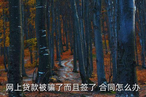 網(wǎng)貸被騙簽合同有效嗎