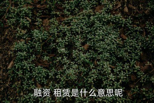 租賃的意思,用大白話解釋經(jīng)營(yíng)租賃的意思