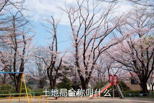 土地局全稱叫什么