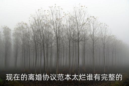 現(xiàn)在的離婚協(xié)議范本太爛誰(shuí)有完整的