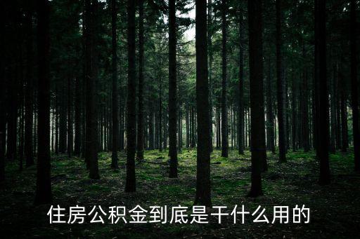 公積金干嘛用的，住房公積金有什么用途