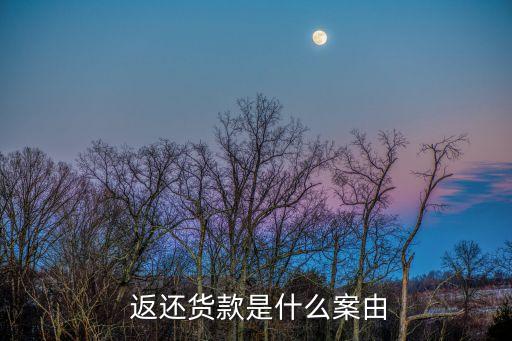  返還貨款是什么案由
