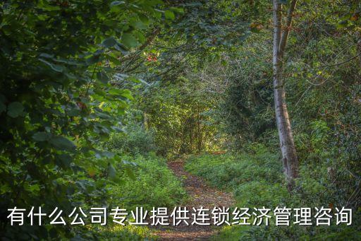 有什么公司專業(yè)提供連鎖經(jīng)濟(jì)管理咨詢