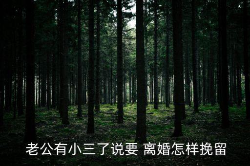 老公有小三了提出離婚怎么辦,男人出軌最怕妻子干嘛