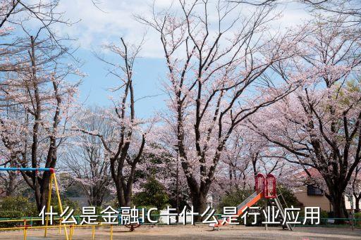 什么是金融IC卡什么是行業(yè)應用