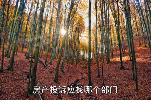 房產(chǎn)投訴應(yīng)找哪個(gè)部門
