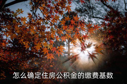 公積金繳納基數(shù)怎么算，住房公積金繳存基數(shù)怎樣計算