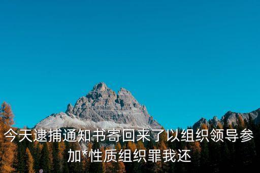 組織領(lǐng)導(dǎo)參加*性質(zhì)組織罪，組織領(lǐng)導(dǎo)參加*性質(zhì)組織罪 起步多少年