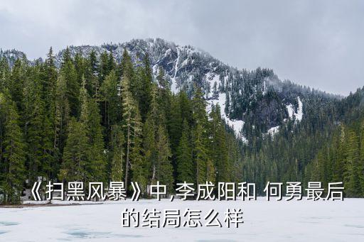 《掃黑風(fēng)暴》中,李成陽和 何勇最后的結(jié)局怎么樣