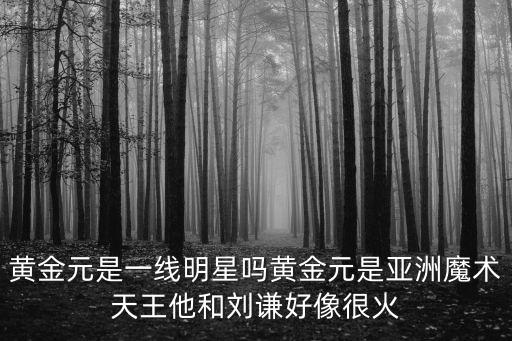 黃金元是一線明星嗎黃金元是亞洲魔術天王他和劉謙好像很火