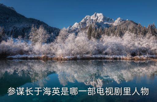 參謀長于海英是哪一部電視劇里人物