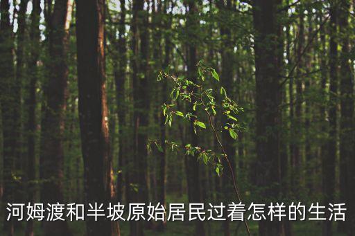 河姆渡居民，河姆渡人的居住方式