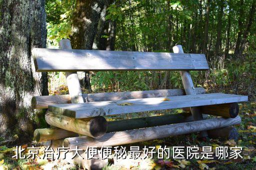 王樹(shù)山，北京治療老年便秘最好的醫(yī)院是哪家