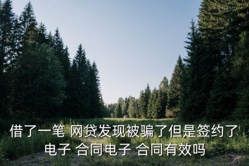 借了一筆 網(wǎng)貸發(fā)現(xiàn)被騙了但是簽約了電子 合同電子 合同有效嗎